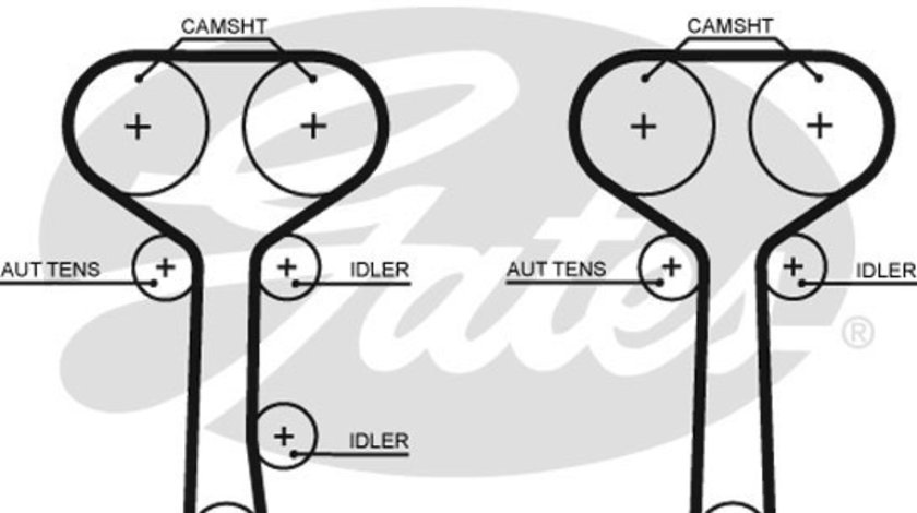 Curea de distributie (5508XS GAT) FORD,FORD AUSTRALIA,FORD USA,MAZDA