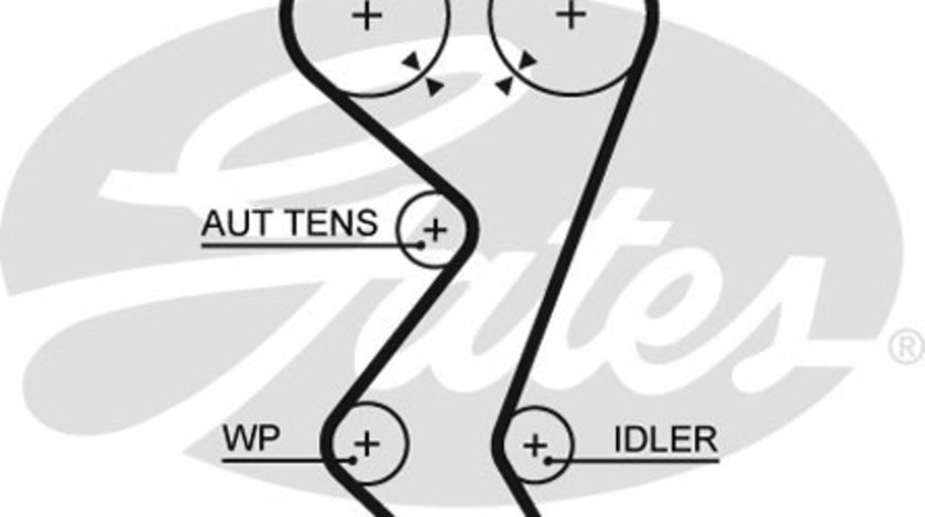 Curea de distributie (5528XS GAT) Citroen,FIAT,LANCIA,PEUGEOT