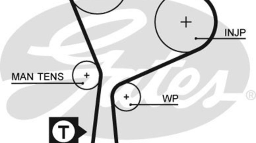 Curea de distributie (5552XS GAT) MITSUBISHI,NISSAN,OPEL,RENAULT,VAUXHALL,VOLVO