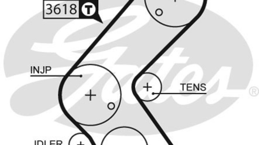 Curea de distributie (5563XS GAT) CHEVROLET,OPEL,VAUXHALL