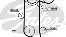 Curea de distributie (5565XS GAT) AUDI,SEAT,SKODA,...