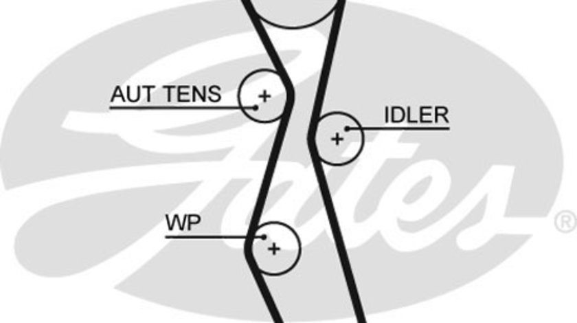 Curea de distributie (5606XS GAT) Citroen,FIAT,FORD,FORD AUSTRALIA,LANCIA,PEUGEOT,VOLVO