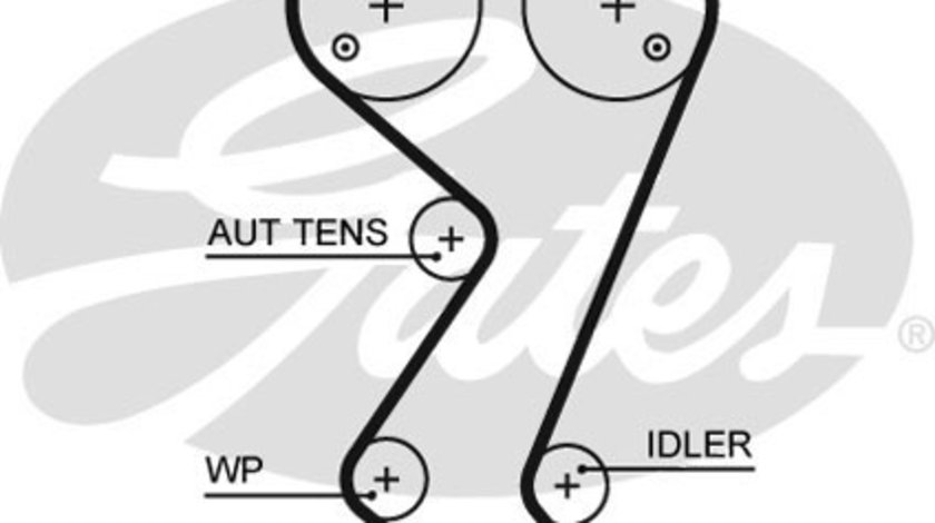 Curea de distributie (5608XS GAT) Citroen,PEUGEOT