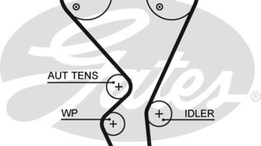 Curea de distributie (5615XS GAT) Citroen,PEUGEOT