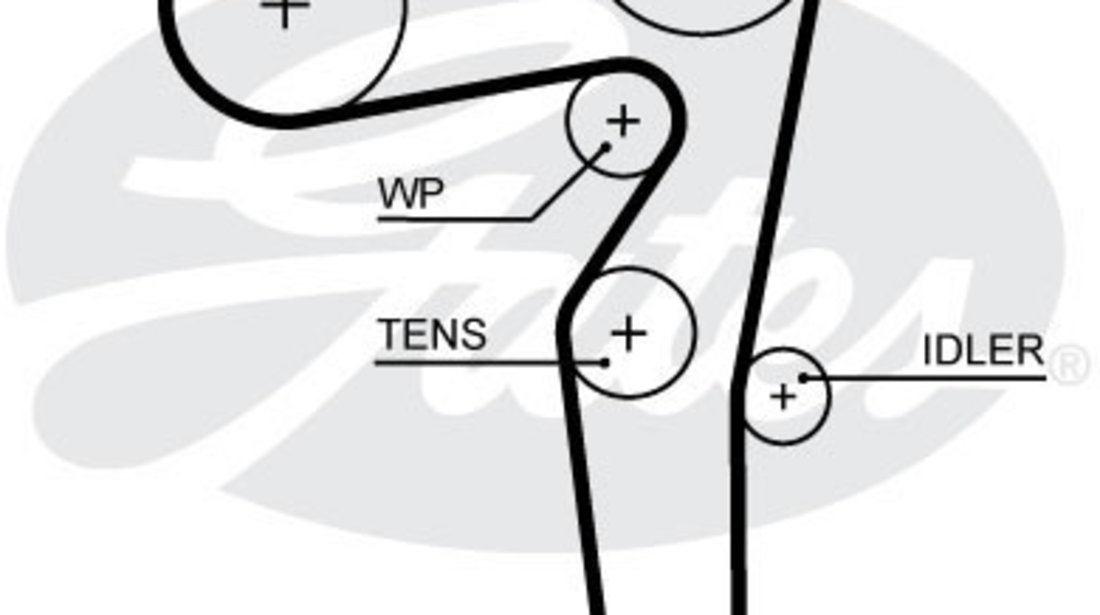 Curea de distributie (5646XS GAT) ALFA ROMEO,CHRYSLER,FIAT,JEEP,LANCIA,OPEL,SUZUKI,VAUXHALL