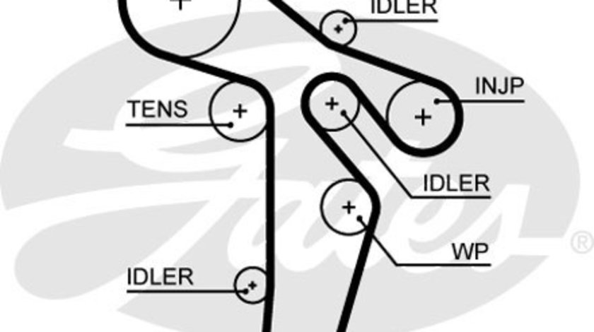 Curea de distributie (5649XS GAT) AUDI,SEAT,SKODA,VW