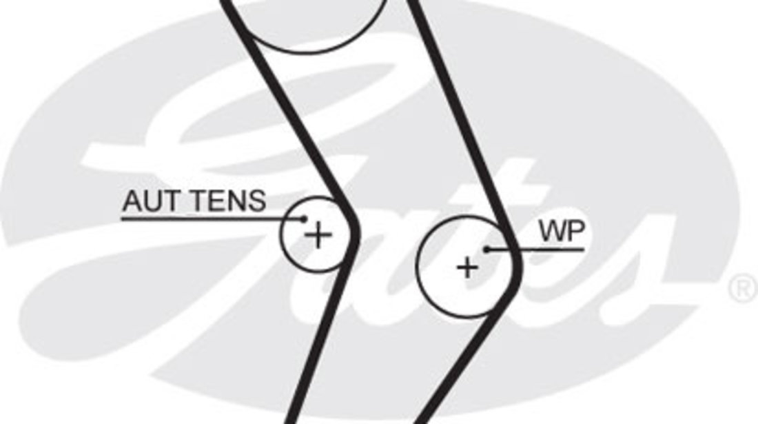 Curea de distributie (5662XS GAT) DACIA,LADA,NISSAN,RENAULT