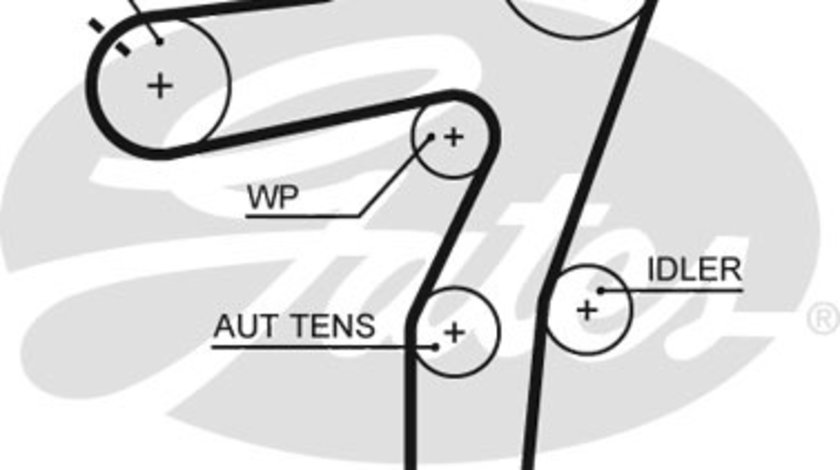 Curea de distributie (5663XS GAT) OPEL,SAAB,VAUXHALL