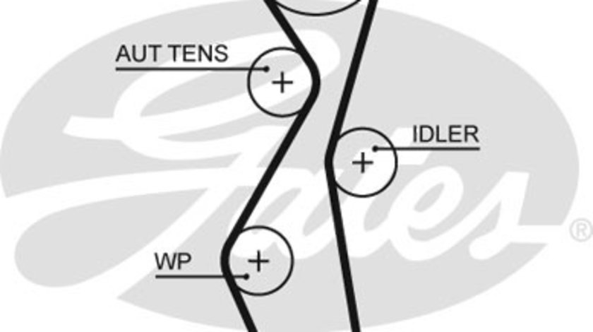 Curea de distributie (5672XS GAT) Citroen,DS,FIAT,FORD,FORD AUSTRALIA,FORD USA,OPEL,PEUGEOT,TOYOTA,VAUXHALL