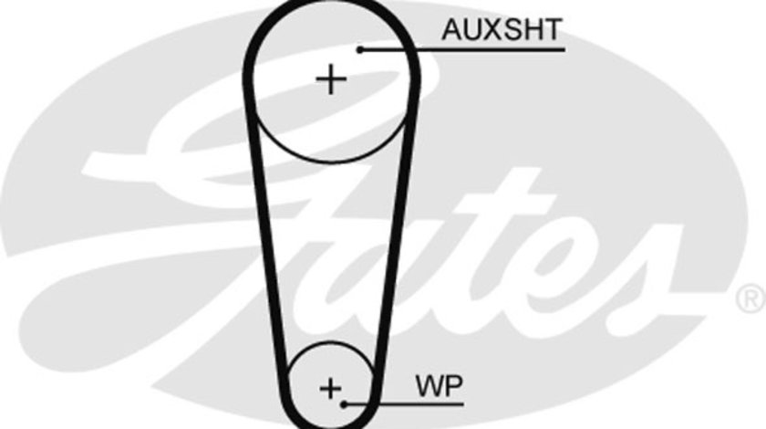 Curea de distributie (5682XS GAT) AUDI,CUPRA,SEAT,SKODA,VW