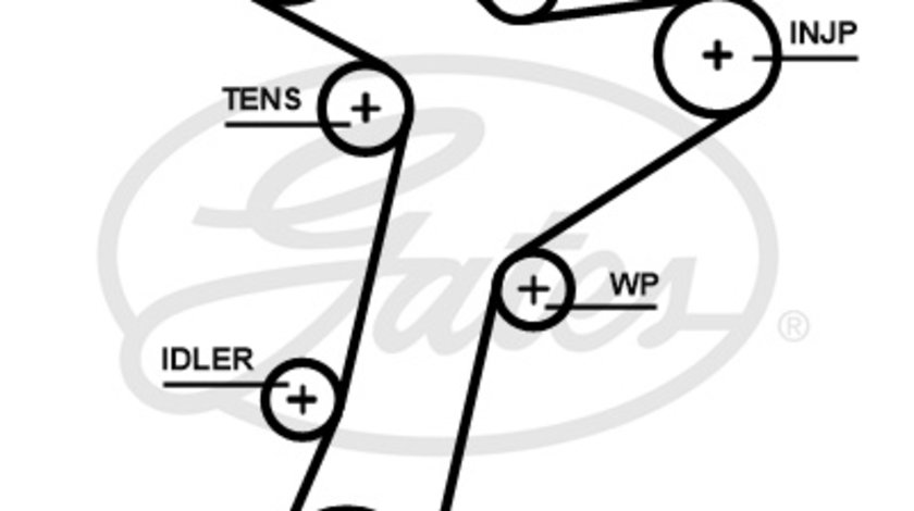 Curea de distributie (5695XS GAT) AUDI,CUPRA,SEAT,SKODA,VW