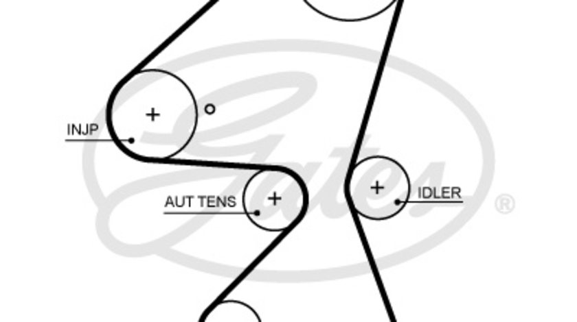 Curea de distributie (5705XS GAT) Citroen,DS,FORD,OPEL,PEUGEOT,TOYOTA,VAUXHALL