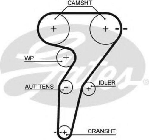 Curea de distributie ALFA ROMEO SPIDER (916_, 916S_) (1994 - 2005) GATES 5429XS piesa NOUA