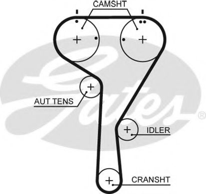Curea de distributie AUDI A3 (8V1) (2012 - 2016) GATES 5680XS piesa NOUA