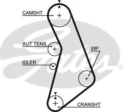 Curea de distributie AUDI A4 Avant (8E5, B6) (2001 - 2004) GATES 5491XS piesa NOUA