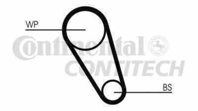 Curea de distributie AUDI A8 4H CONTITECH CT1143