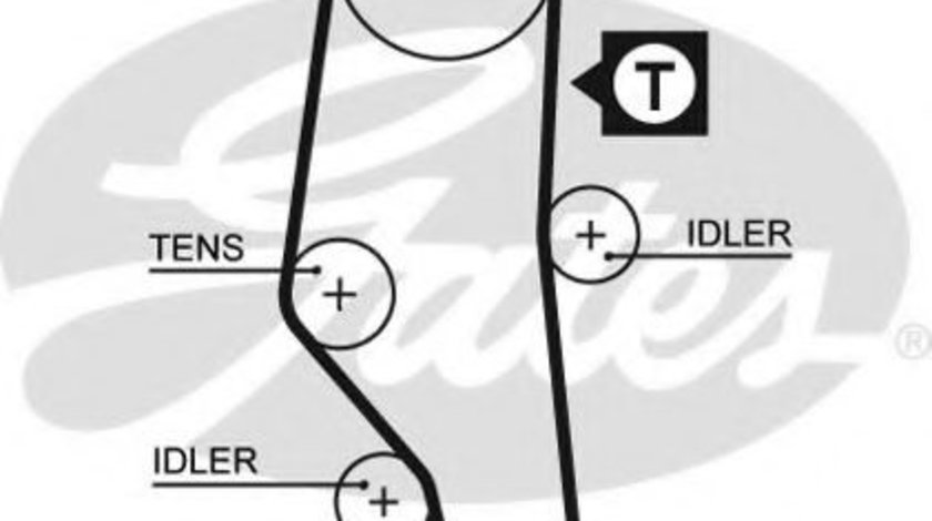 Curea de distributie BMW Seria 3 (E36) (1990 - 1998) GATES 5302XS piesa NOUA