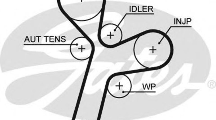 Curea de distributie CHEVROLET CAPTIVA (C100, C140) (2006 - 2016) GATES 5634XS piesa NOUA