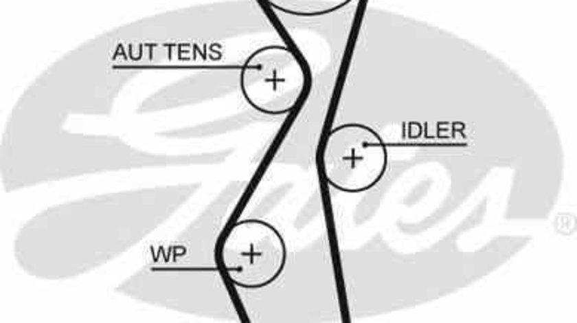 Curea de distributie CITROËN C4 Grand Picasso I UA GATES 5672XS
