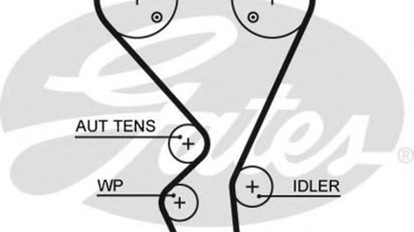 Curea de distributie CITROEN C4 Cupe (LA) (2004 - 2011) GATES 5581XS piesa NOUA