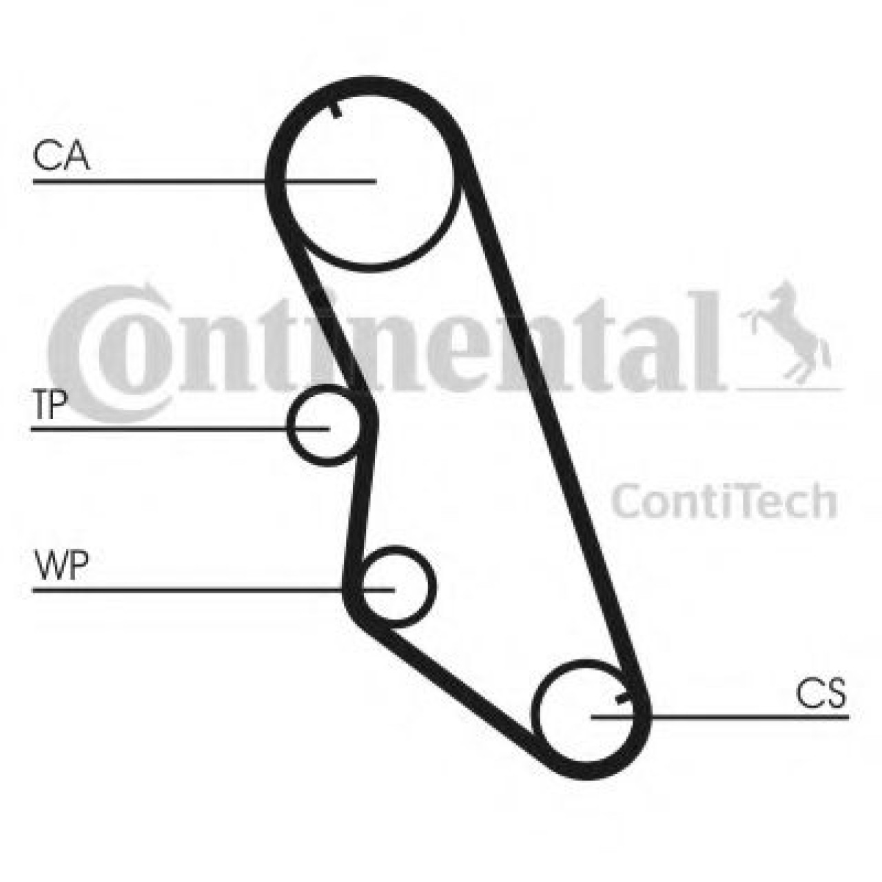 Curea de distributie CITROEN XANTIA (X1) (1993 - 1998) CONTITECH CT754 piesa NOUA