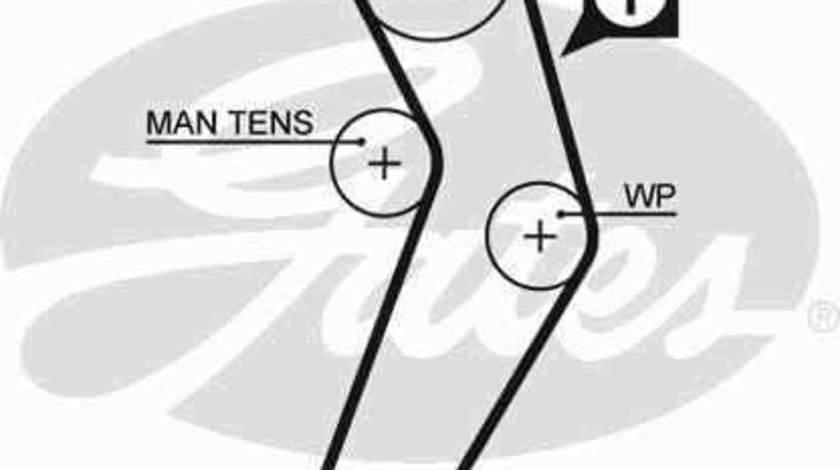 Curea de distributie DACIA SOLENZA GATES 5473XS