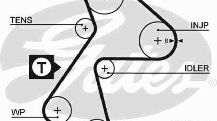 Curea de distributie DACIA SOLENZA GATES 5484XS