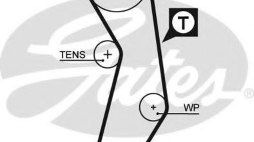 Curea de distributie FIAT ALBEA (178) (1996 - 2009) GATES 5411XS piesa NOUA