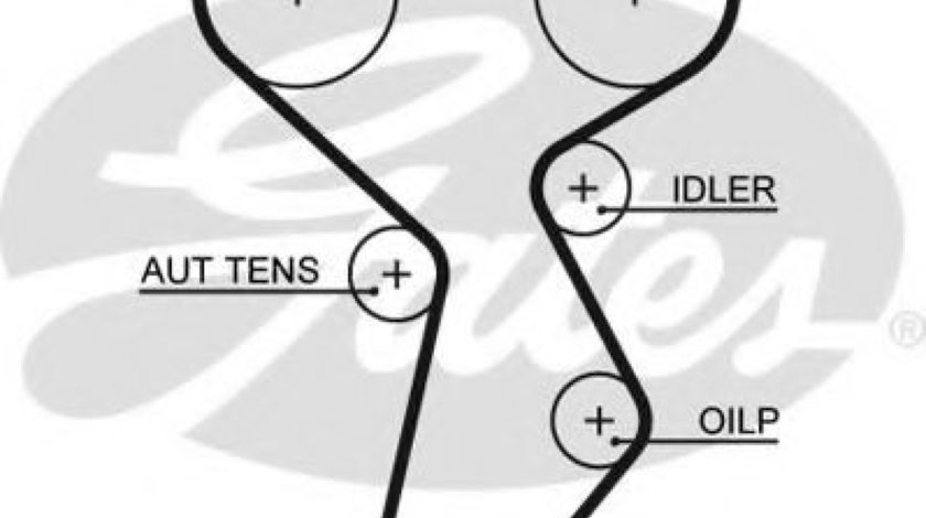 Curea de distributie FIAT BRAVO I (182) (1995 - 2001) GATES 5432XS piesa NOUA