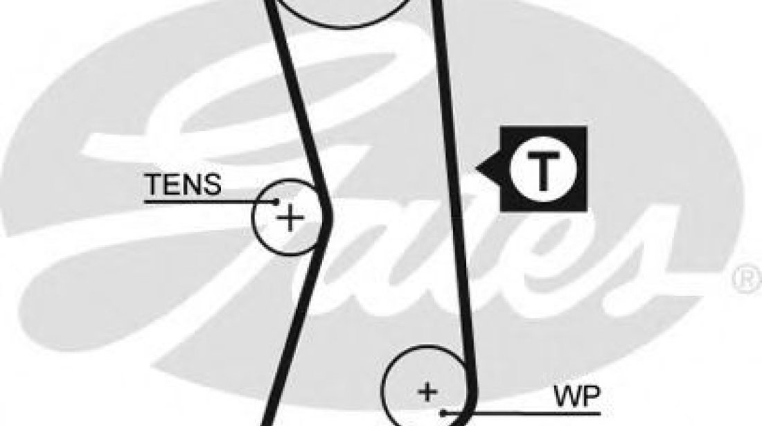 Curea de distributie FIAT PUNTO (176) (1993 - 1999) GATES 5544XS piesa NOUA