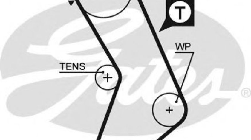Curea de distributie FIAT PUNTO (176) (1993 - 1999) GATES 5545XS piesa NOUA