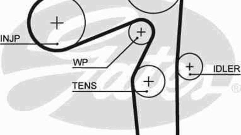 Curea de distributie FIAT PUNTO Van 188AX GATES 5500XS