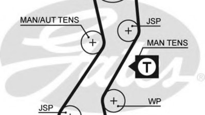 Curea de distributie FORD FIESTA IV (JA, JB) (1995 - 2002) GATES 5451XS piesa NOUA