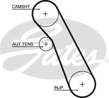 Curea de distributie FORD FOCUS (DAW, DBW) (1998 - 2007) GATES 5541XS piesa NOUA
