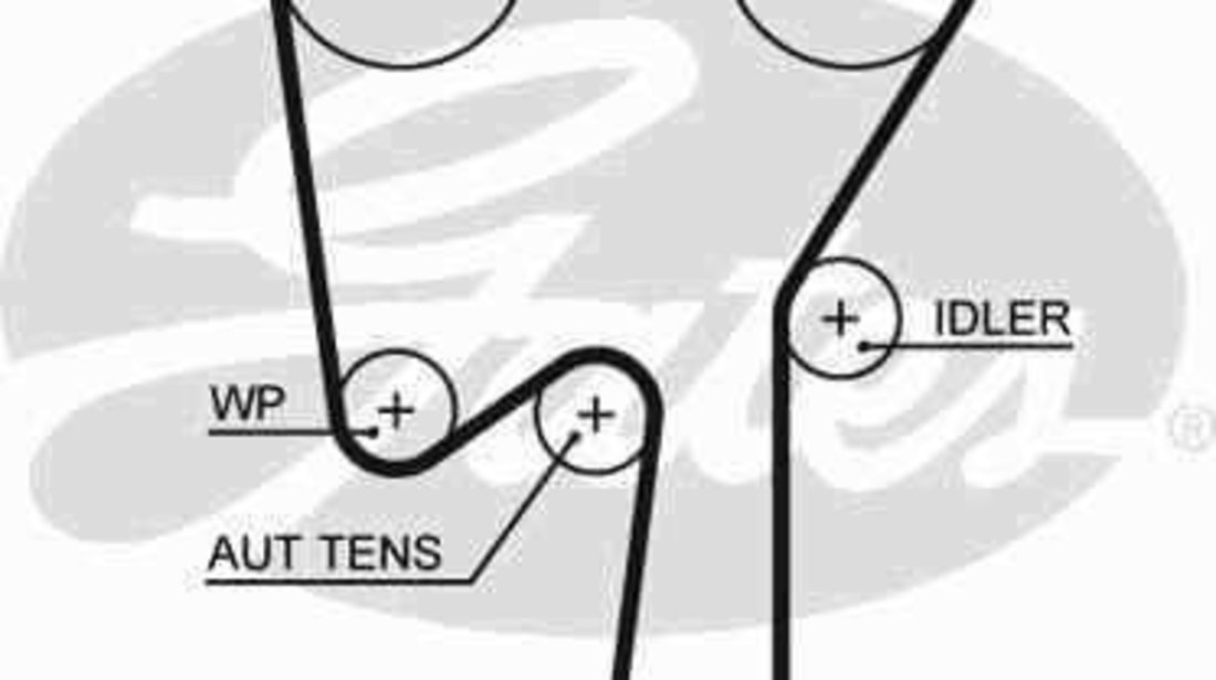 Curea de distributie FORD MONDEO IV Turnier (BA7) GATES 5509XS