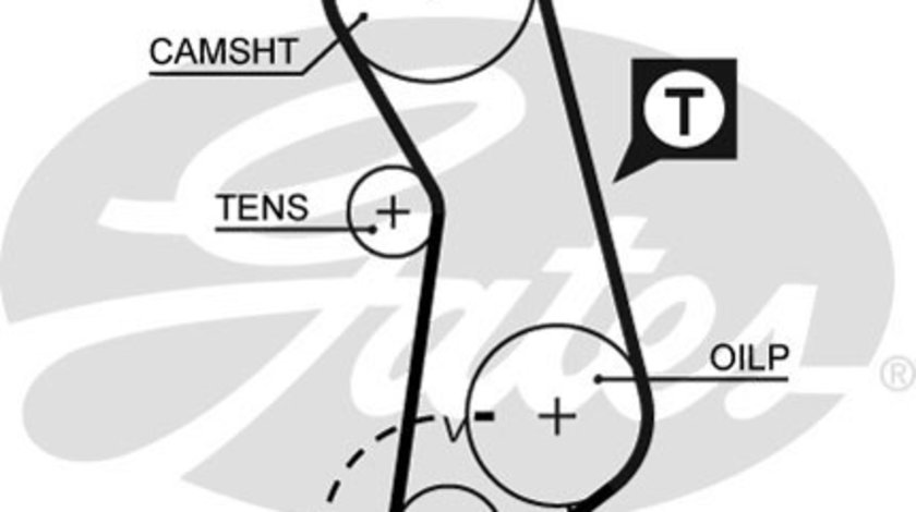 Curea de distributie (GAT5016 GATES) AUDI,PORSCHE,SEAT,VW