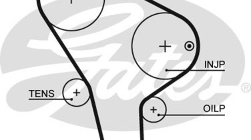 Curea de distributie (GAT5176 GATES) AUDI,VW