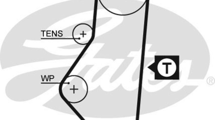 Curea de distributie (GAT5215XS GATES) Citroen,FIAT,LANCIA,PEUGEOT