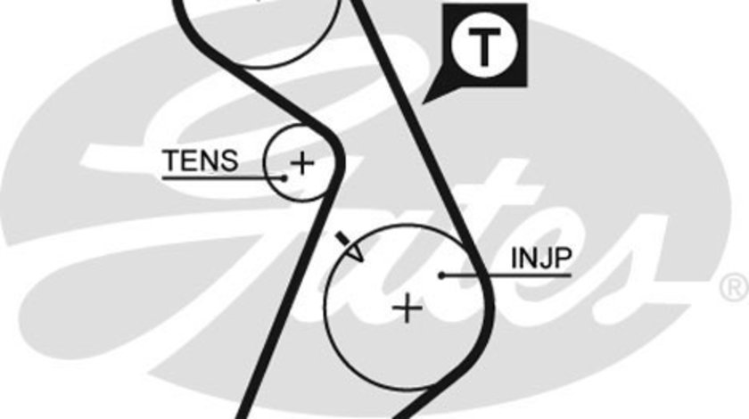 Curea de distributie (GAT5395 GATES) DAEWOO