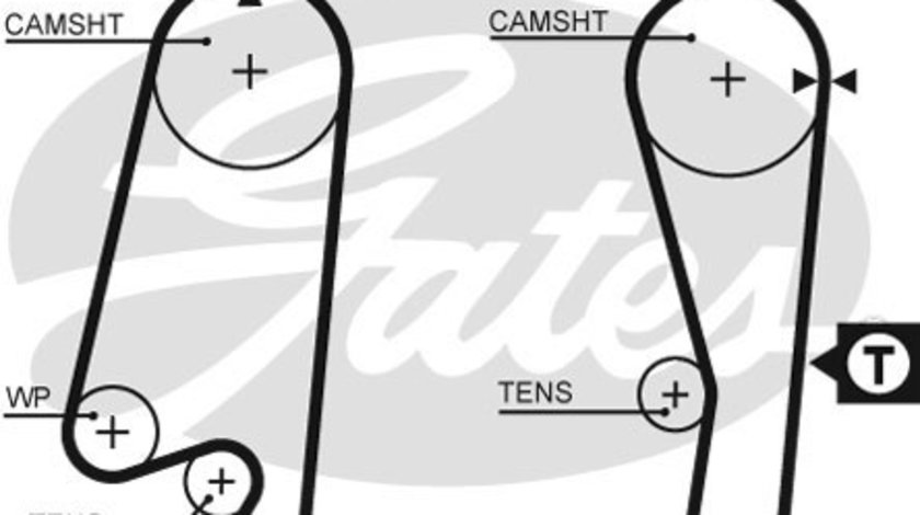 Curea de distributie (GAT5434XS GATES) CHEVROLET,DAEWOO,FSO,MITSUBISHI,UZ-DAEWOO