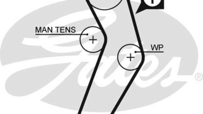 Curea de distributie (GAT5473XS GATES) DACIA,NISSAN,RENAULT