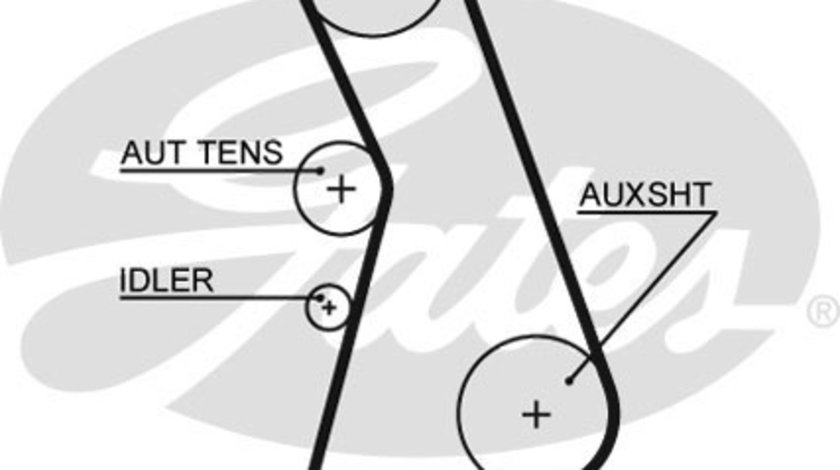 Curea de distributie (GAT5492XS GATES) AUDI,VW