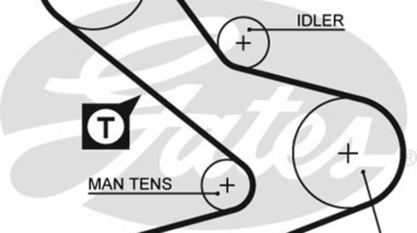 Curea de distributie (GAT5495XS GATES) Citroen,FIAT,IVECO,OPEL,RENAULT,RENAULT TRUCKS,SANTANA,VAUXHALL