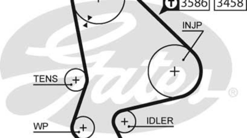 Curea de distributie (GAT5524XS GATES) Citroen,FIAT,LANCIA,PEUGEOT,SUZUKI