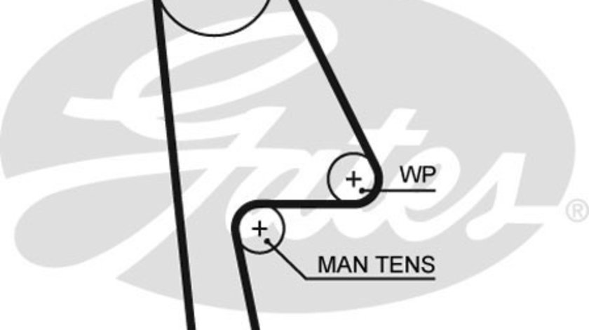 Curea de distributie (GAT5529XS GATES) HONDA