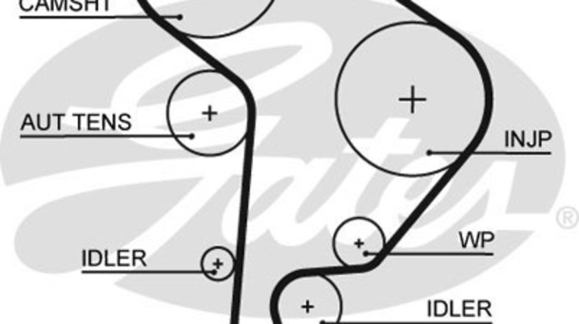 Curea de distributie (GAT5559XS GATES) AUDI,SEAT,SKODA,VW