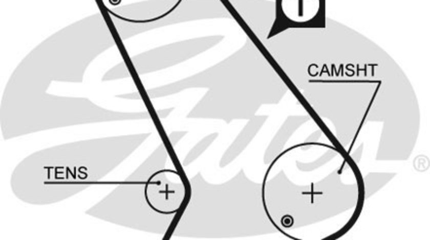 Curea de distributie (GAT5572XS GATES) FORD,LDV,METROCAB