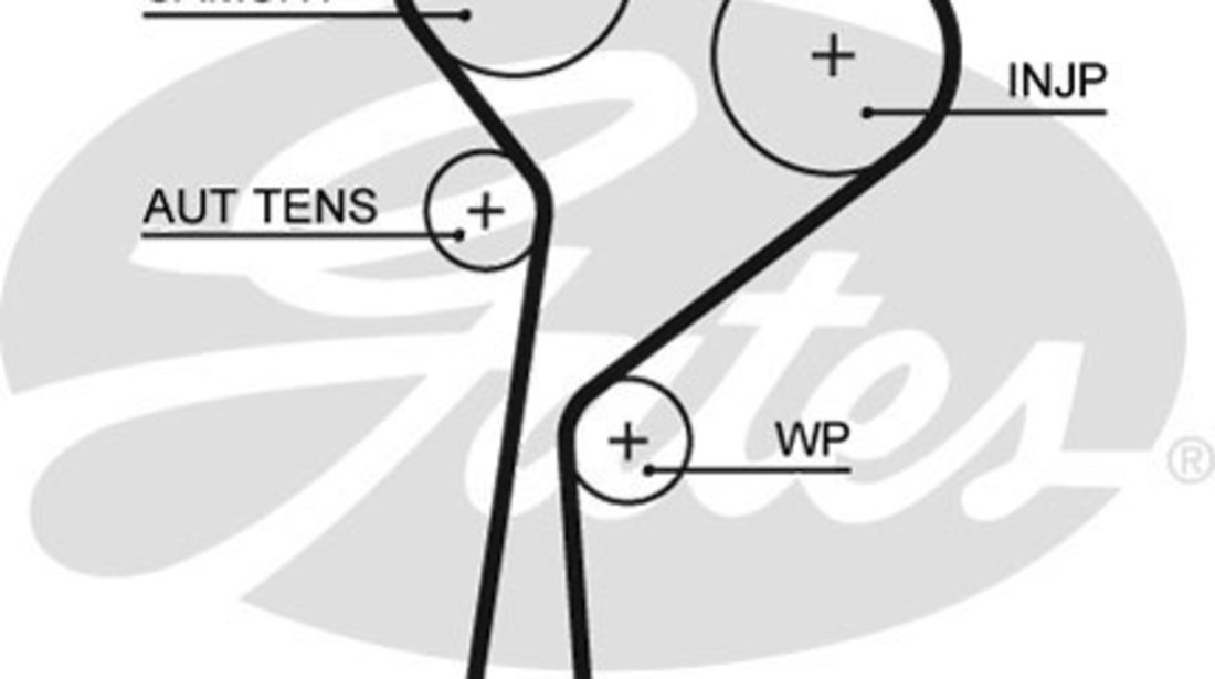 Curea de distributie (GAT5578XS GATES) DACIA,NISSAN,RENAULT,SUZUKI