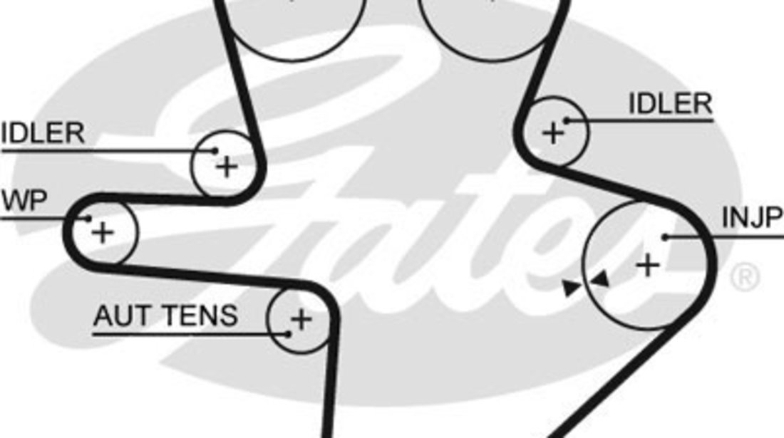 Curea de distributie (GAT5586XS GATES) CHRYSLER,JEEP,LDV,LTI