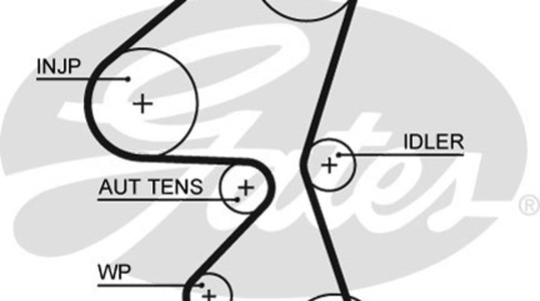 Curea de distributie (GAT5587XS GATES) Citroen,FORD,FORD ASIA / OCEANIA,MAZDA,PEUGEOT,TOYOTA